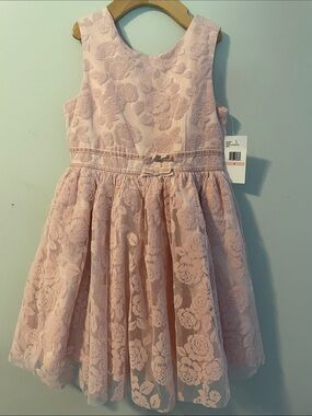 NWT: Jessica Simpson girls pink velvet flower lace dress. size:6